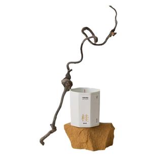 侘寂风天然干树枝拍照道具高级感干花装饰摆件枯木枝条树干龙枣枝