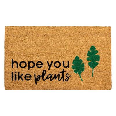 印度进口除尘椰棕门垫