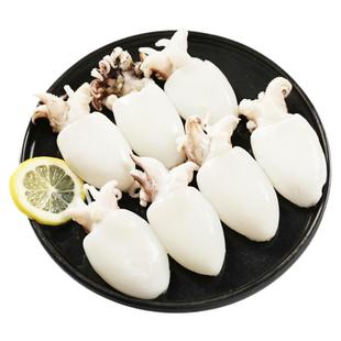舟山墨鱼仔冷冻新鲜小墨鱼仔生鲜鲜活小墨鱼去皮去内脏商用批发