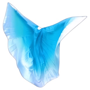 运动会氛围道具彩色翅膀披风渐变开幕式大型团体操开场舞表演专用