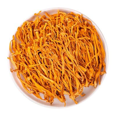 【当季新货】菌状元虫草花干货孢子头新鲜北金蛹虫草煲汤精品商用