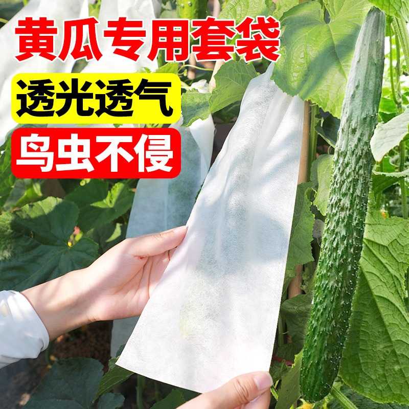 苦瓜专用套袋黄瓜青瓜丝瓜果套袋水果葡萄防虫保护袋蔬菜防鸟袋子