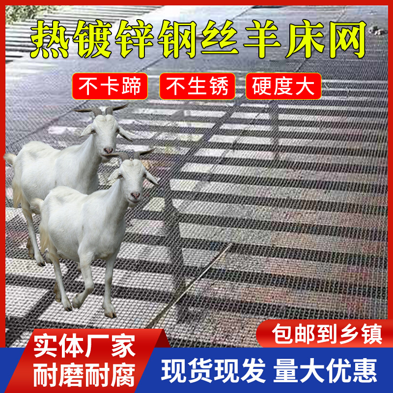 钢丝网加粗羊床漏粪网筛网镀锌网格栅编织N网围栏猪护栏铁丝围网