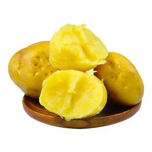 正宗甘肃定西土豆沙面黄心马铃薯蔬菜洋芋旱沙地种植新鲜现挖10斤