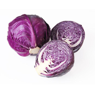 紫甘蓝种子 包菜种子 洋白菜种子 中早熟 紫红色 蔬菜种子 菜园用