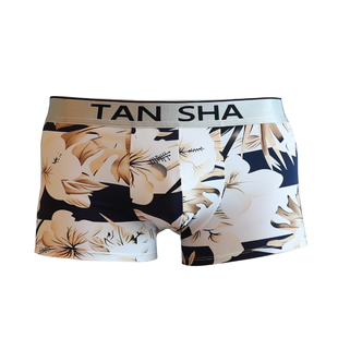 2025年新款男士内裤男平角裤冰丝透气性感潮牌男生四角短裤头男款