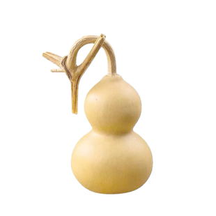 【一物一拍】文玩小葫芦带龙头养剑葫芦摆件挂件手把件手捻葫芦