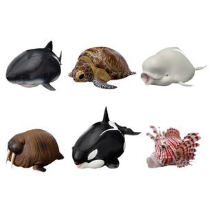 正版动物星球心宽体胖系列第四弹海洋篇盲盒乌龟鱼手办模型摆件