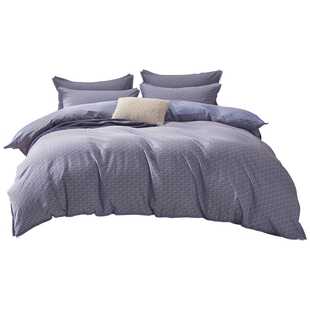 水星家纺2025新款全棉磨毛四件套秋冬季保暖抗菌INS风床品套件