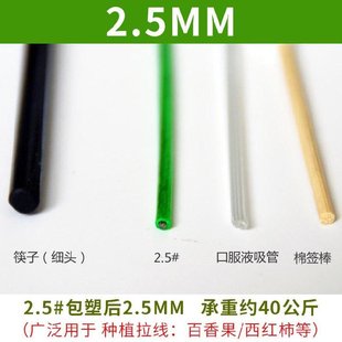 凉晒晾衣绳绳子钢丝压线瓜棚葡萄收紧器牵引架新品 晒被子悬挂物品