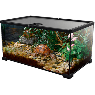 玻璃饲养箱爬虫缸雨林水陆缸爬宠睫角守宫角蛙蜥蜴蜘蛛甲虫生态缸