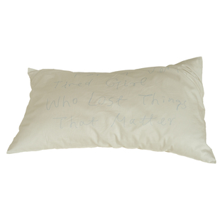 DAISYHOME2026新款100纯棉ins百搭字母枕套单个48cmx74cm枕头套