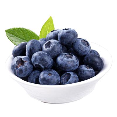 【官方推荐】每年热卖的一款蓝莓