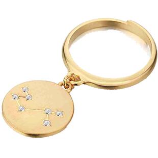 【自营】Glam Ever十二星座戒指女轻奢小众时尚设计高级感食指戒