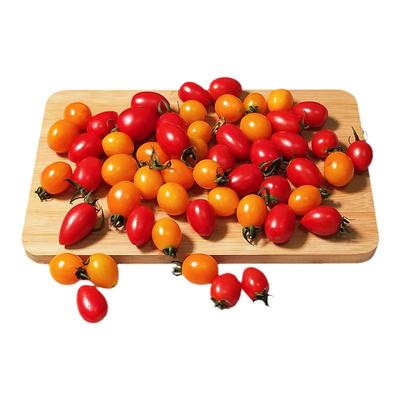 红色黄金圣女果双拼配搭500G 新鲜孕妇儿童蔬菜 樱桃西红柿小番茄