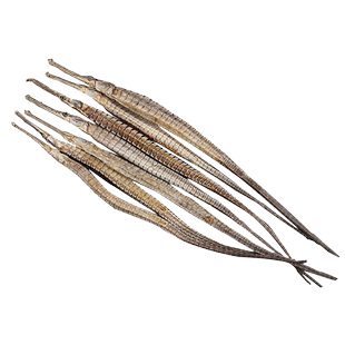 海龙干货中药材四角海龙中药饮片男性滋补泡酒尖海龙大海龙鱼干CF