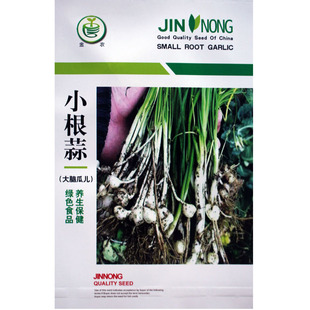 金农小根蒜种子 野葱野蒜籽种阳台盆栽蔬菜种籽山蒜薤白 大脑瓜孑