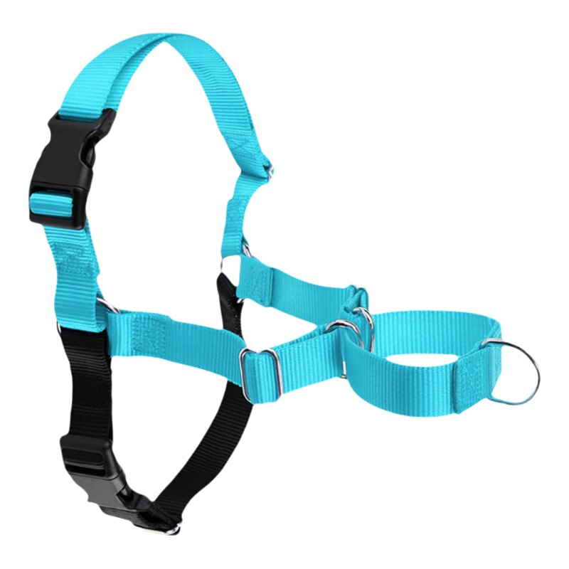 Easywalk前扣式防爆冲胸背狗牵引绳中大型犬随行训练复刻轻量柔软