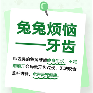 ee兔子零磨YXC 1244牙饼干果y蔬食草饼豚牧鼠龙猫草营养解闷啃咬