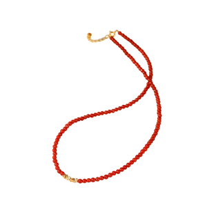 柿子红南红碎碎银锁骨链小米珠国风轻奢小众设计送女友生日礼物