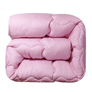 加厚保暖丝绵冬被芯夏被空调被单双人1.5米2春秋冬季民宿太空被子