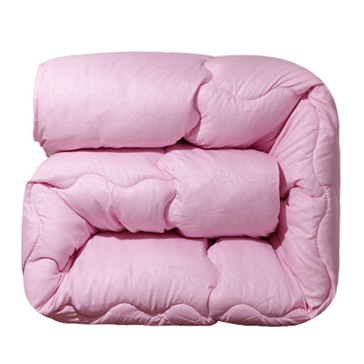 加厚保暖冬被子芯春秋丝绵太空被