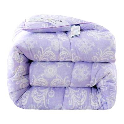 被子被芯双人被加厚冬被