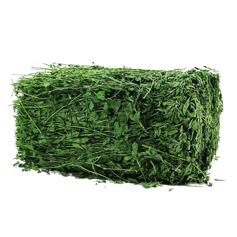 2026新烘干苜蓿草岷县草场精选兔粮龙猫饲料牧草干草毛重1kg包邮