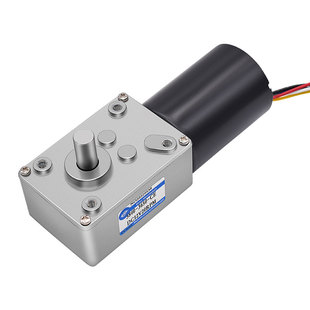 5840-3650无刷直流减速电机蜗轮蜗杆低速大扭力微型调速电机马达