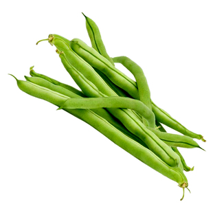 四季豆种子嫩玉小金豆种籽芸豆扁豆蔬菜孑高产豆角大全青豌豆豆种