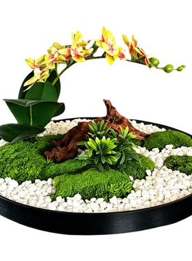 仿真花艺餐桌装饰摆件蝴蝶兰绿植永生苔藓花艺酒店圆桌景观摆花