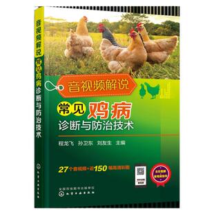 音视频解说常见鸡病诊断与防治技术 鸡常见病诊断诊治预防及用药技术 基层兽医人员养殖场兽医殖企业技术人员养鸡专业户参考书