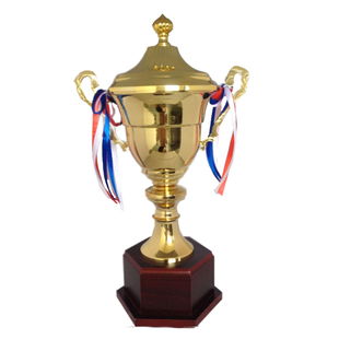 辉煌大奖杯定制总冠军足球篮球比赛各种大型赛事奖杯奖牌免费做字