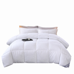 丝绵被子送被套夏凉被空调被春秋棉被芯学生宿舍单人夏被四件套