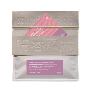 有容乃大埃塞古吉罕贝拉布库Buku日晒处理25年产季手冲单品咖啡豆