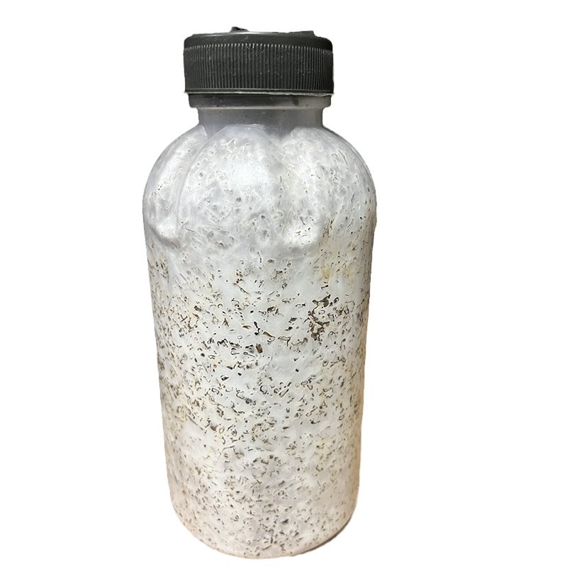 平菇香菇木耳栽培种含空白瓶