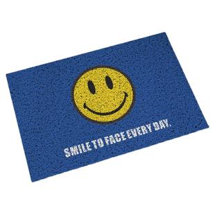 现代简约克莱因蓝色入户门厅丝圈地垫网红地毯屋外pvc门口脚垫子