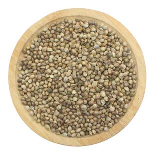 瑞友家RIYOKA鹦鹉鸟笼子金属钢烤漆小太和尚灰机凯克鸟笼坚固耐用