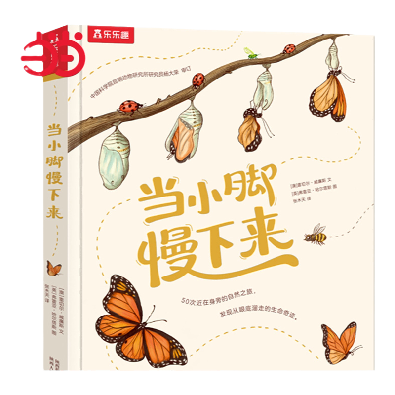 当当网正版童书小脚慢下当当网