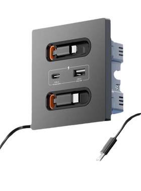 国际电工10A86型带线快充USB
