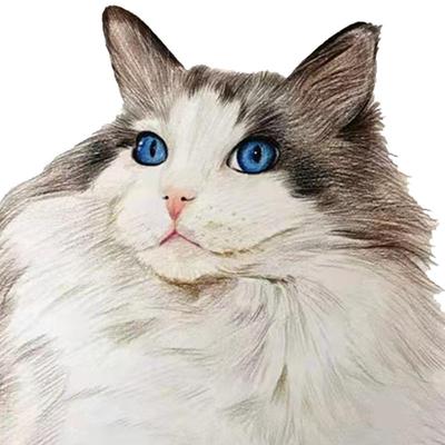 手绘素描肖像画纯人物油画头像