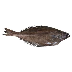 格陵兰比目鱼新鲜整条冷冻鸦片鱼深海鲜活鲽鱼海鲜水产大鲽鱼碟鱼