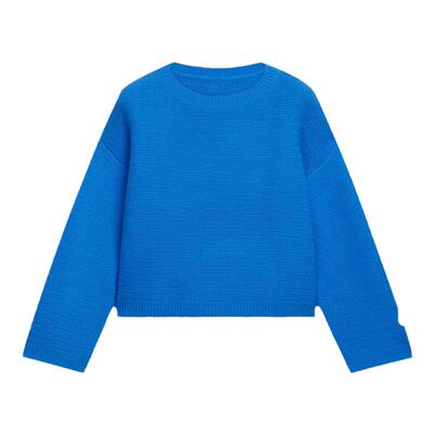 BLUE ERDOS美拉蓝宽松针织衫B246A0002