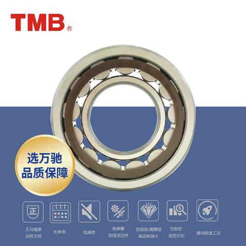 TMB天马精工NU2238ECP高精度圆柱滚子轴承ETETVP2旗舰品质