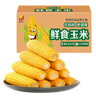 宋玉今东北特产玉米新鲜真空包装黏苞米黄糯苞米甜玉米棒260g*8根