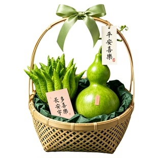 佛手柑鲜果水培植物闻香观赏桌面摆件天然新鲜绿葫芦室内香橼托盘