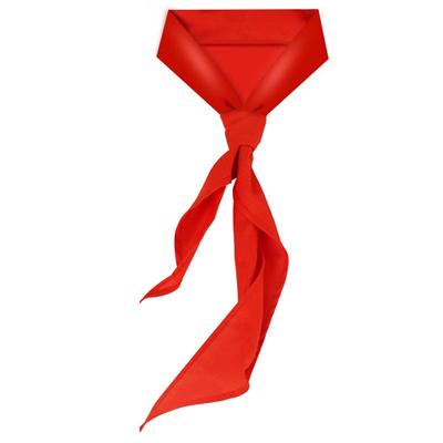 晨光红领巾标准纯棉抗皱 【券后价】2.5元
