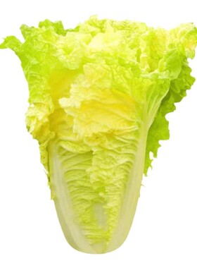 兰花专用肥家用花肥肥料君子兰蝴蝶兰通用颗粒长效缓释控释复合肥