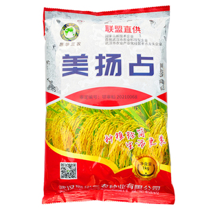 美扬占 美杨占水稻种子常规稻谷种子优质长粒香米高产替代黄华占