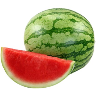 宝威无籽西瓜种子种籽苗孑春季南方种植超甜特大高产无子水果种子